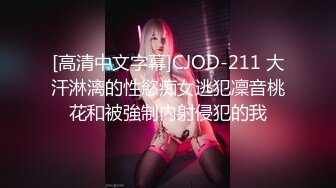 [高清中文字幕]CJOD-211 大汗淋漓的性慾痴女逃犯凜音桃花和被強制內射侵犯的我