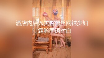 酒店内后入美臀黑丝网袜少妇，露脸国语对白