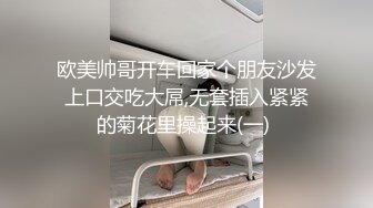 欧美帅哥开车回家个朋友沙发上口交吃大屌,无套插入紧紧的菊花里操起来(一) 