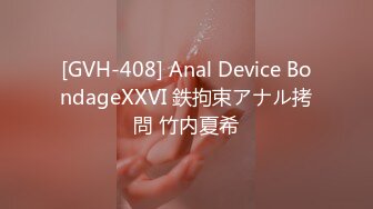 [GVH-408] Anal Device BondageXXVI 鉄拘束アナル拷問 竹内夏希