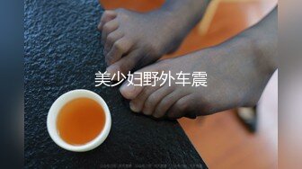 美少妇野外车震