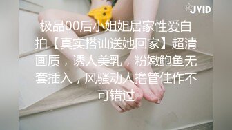 极品00后小姐姐居家性爱自拍【真实搭讪送她回家】超清画质，诱人美乳，粉嫩鲍鱼无套插入，风骚动人撸管佳作不可错过