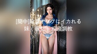 [簡中]陰濕オタクにイカれる妹（彼女） 痴漢調教