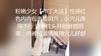 粉嫩少女【布丁大法】性感红色内内包裹着阴穴，小穴儿痒得不行 逮着枕头开始磨蹭阴蒂，内裤拉紧紧搞得穴儿好舒服嘞！