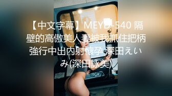 【中文字幕】MEYD-540 隔壁的高傲美人妻被我抓住把柄強行中出內射懷孕 深田えいみ(深田詠美)