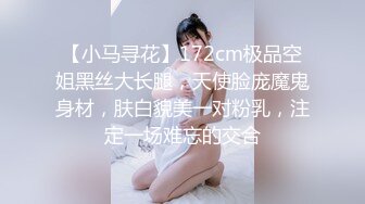 【小马寻花】172cm极品空姐黑丝大长腿，天使脸庞魔鬼身材，肤白貌美一对粉乳，注定一场难忘的交合