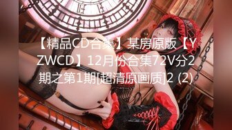 【精品CD合集】某房原版【YZWCD】12月份合集72V分2期之第1期[超清原画质]2 (2)