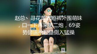 赵总丶寻花黄衣短裤外围萌妹，口一下再来第二炮，69姿势舔逼抬起腿侧入猛操