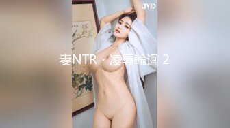 妻NTR・凌辱輪迴 2