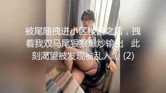 被尾随拽进小区楼道之后，拽着我双马尾狠狠爆炒输出   此刻渴望被发现被乱入（ (2)