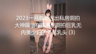 2023一月最新流出私房厕拍大神隔墙有眼原创厕拍巨乳无内美少妇的坚挺乳头 (3)