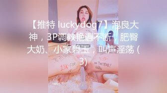 【推特 luckydog7】泡良大神，3P调教艳遇不断，肥臀大奶、小家碧玉，叫声淫荡 (3)