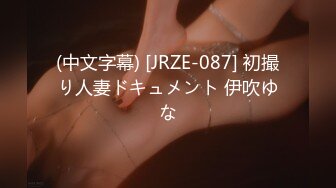 (中文字幕) [JRZE-087] 初撮り人妻ドキュメント 伊吹ゆな