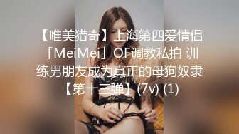 【唯美猎奇】上海第四爱情侣「MeiMei」OF调教私拍 训练男朋友成为真正的母狗奴隶【第十三弹】(7v) (1)