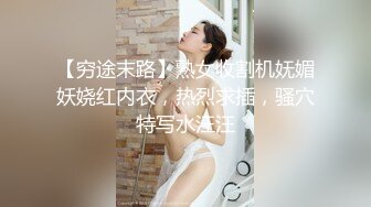 半老徐娘 ·风韵犹存 -唯美人妻 · ：离异人妻，楼道刺激大战房东，一路肏回家，客厅爆发内射！