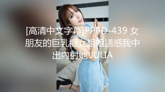 [高清中文字幕]PPPD-439 女朋友的巨乳癡女姐姐誘惑我中出內射她 JULIA