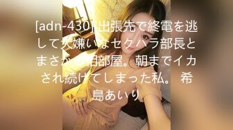 [adn-430] 出張先で終電を逃して大嫌いなセクハラ部長とまさかの相部屋。朝までイカされ続けてしまった私。 希島あいり