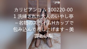 カリビアンコム 100220-001 洗練された大人のいやし亭 ～名物のスライムHカップで包み込んで差し上げます～美雲あい梨