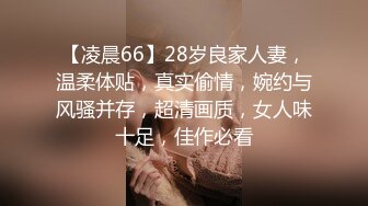 【凌晨66】28岁良家人妻，温柔体贴，真实偷情，婉约与风骚并存，超清画质，女人味十足，佳作必看