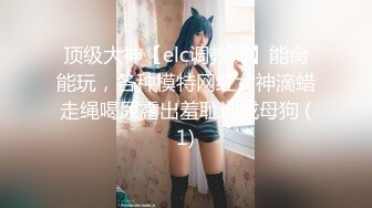 顶级大神【elc调教师】能肏能玩，各种模特网红女神滴蜡走绳喝尿露出羞耻训成母狗 (1)