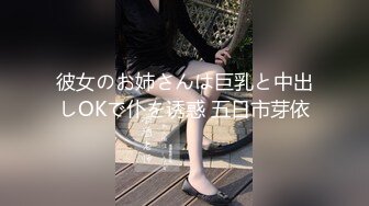 彼女のお姉さんは巨乳と中出しOKで仆を诱惑 五日市芽依