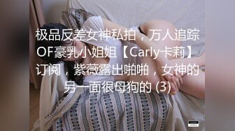 极品反差女神私拍，万人追踪OF豪乳小姐姐【Carly卡莉】订阅，紫薇露出啪啪，女神的另一面很母狗的 (3)