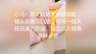 小马丶寻花短裙大长腿御姐，镜头前展示口活，特写一线天极品美穴肥逼，站立后入骑乘多种姿势